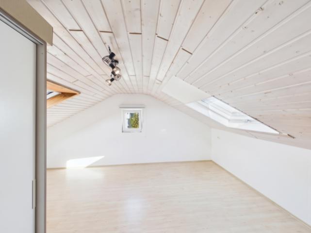 Zimmer DG