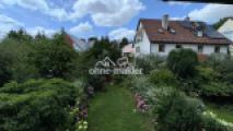 Blick in Garten