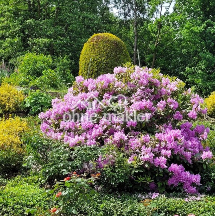 Sommerblick in den Garten
