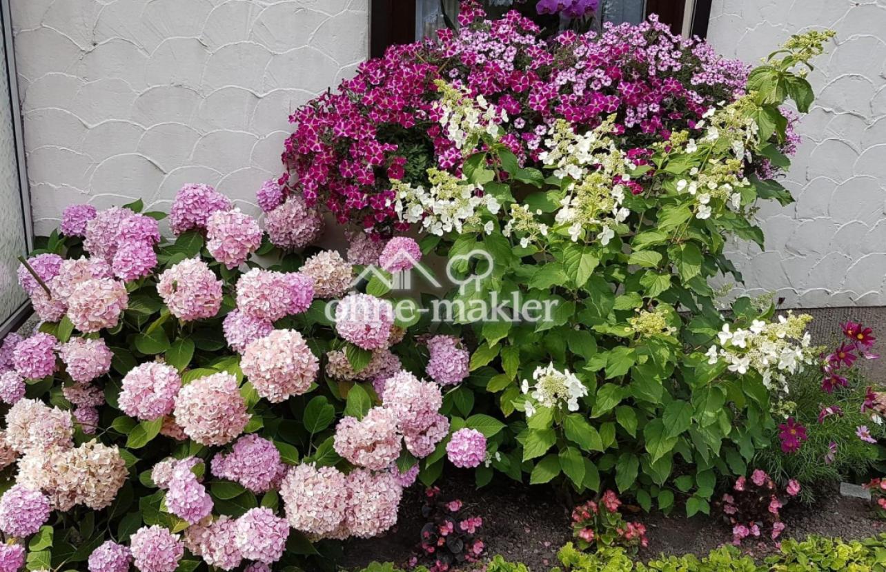 Blumenpracht vor dem Haus