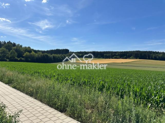 Blick auf Feld