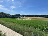 Blick auf Feld