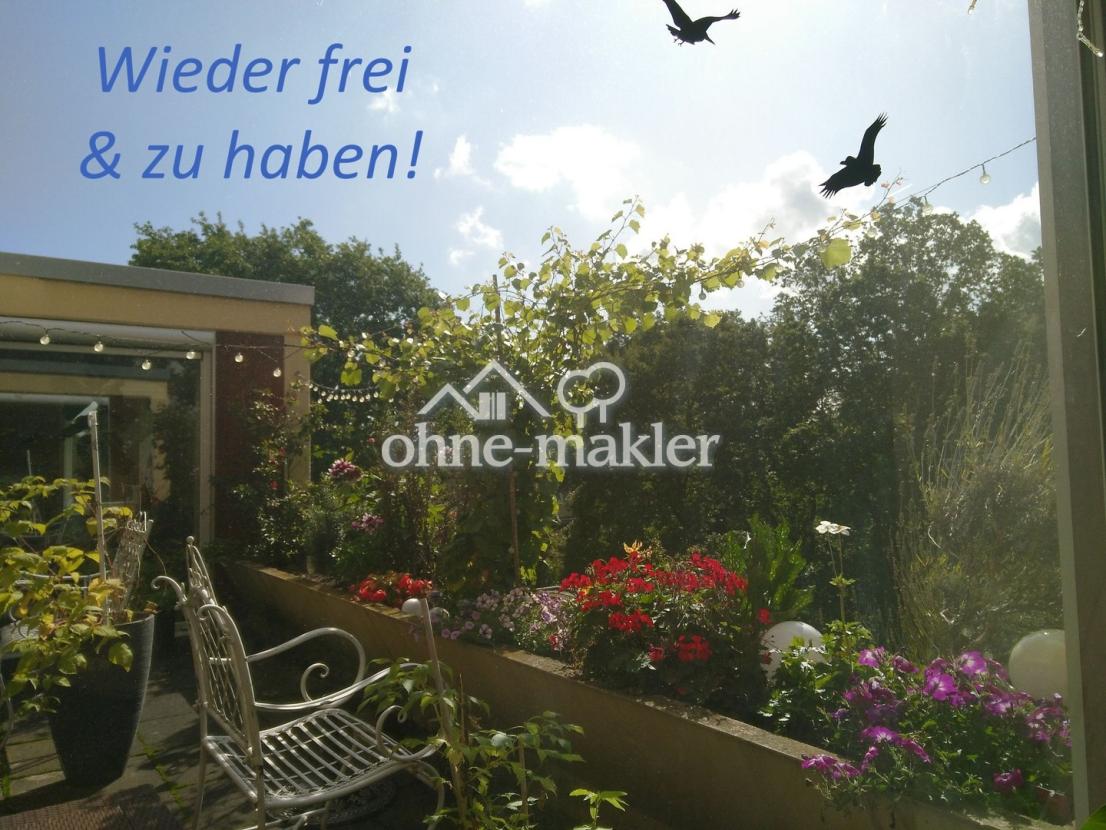 wieder zu haben!