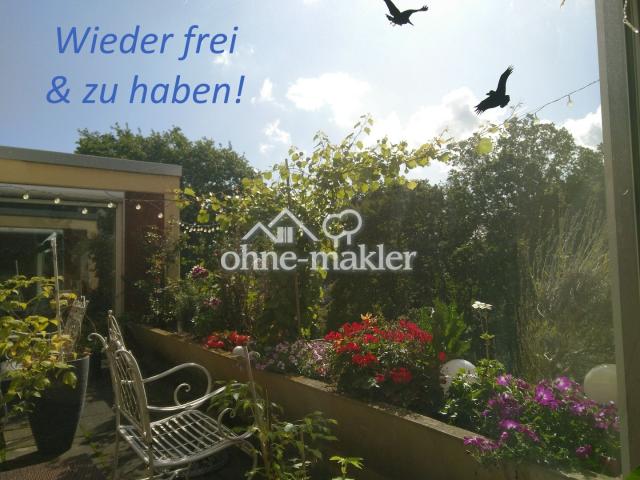 wieder zu haben!
