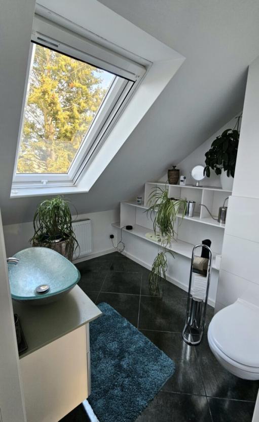 WC DG