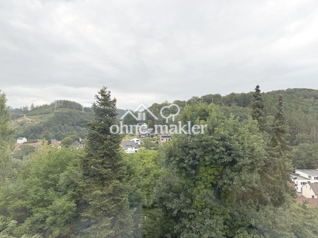 Ausblick Balkon