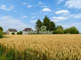 Umfeld mit Blick Hausrückseite