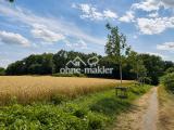 Feld vor der Tür