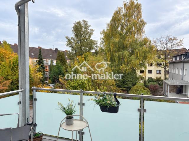 Blick ins Grüne