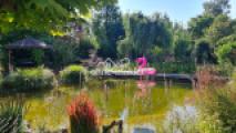 Schwimmteich