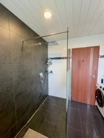 Einblicke ins Bad mit  Walk-in-Dusche