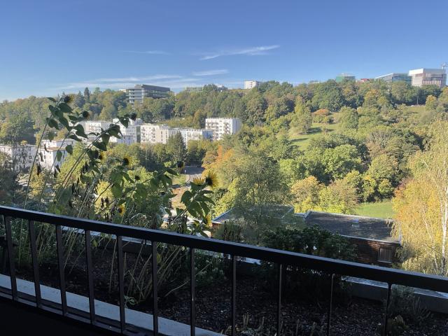 Ausblick