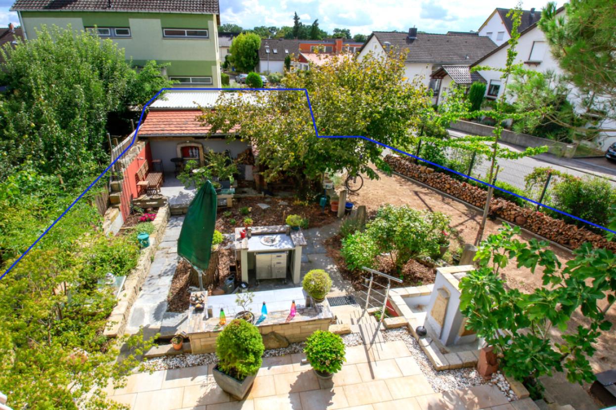 Garten Blick 1