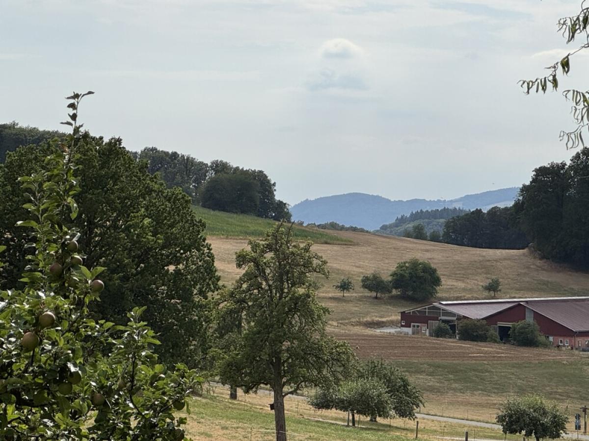 Ausblick
