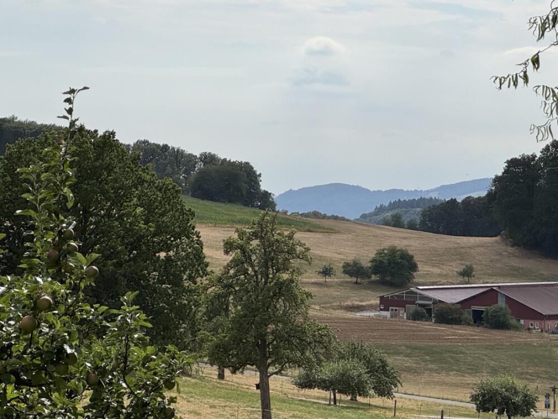 Ausblick