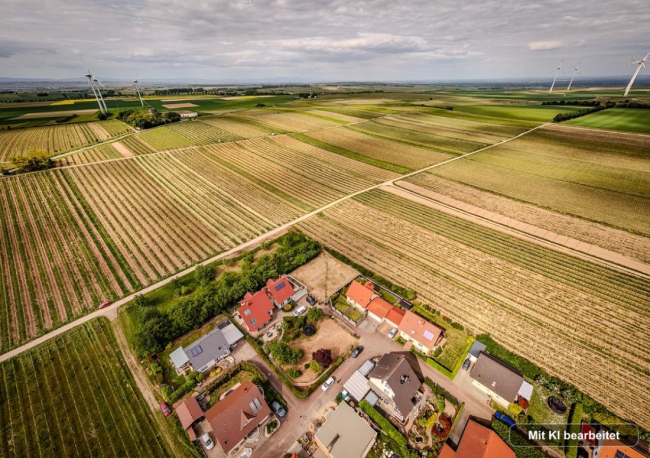 Blick in die Natur