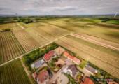 Blick in die Natur