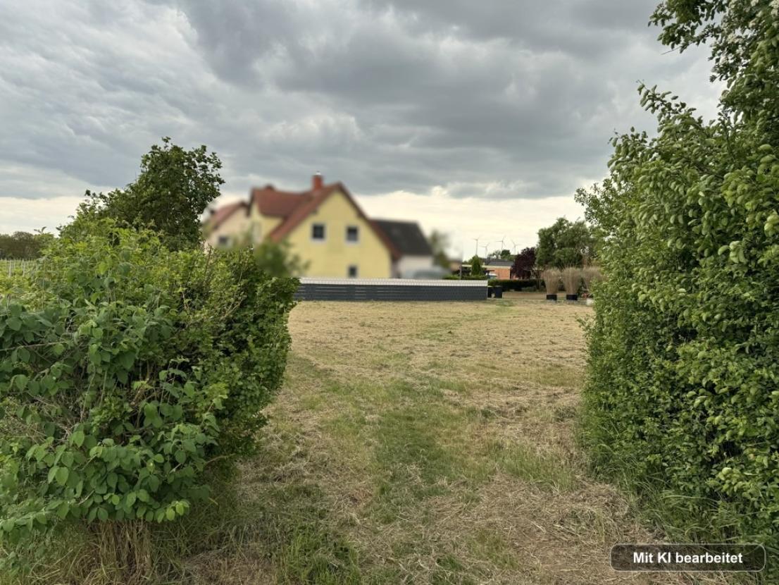 Blick auf das Grundstück