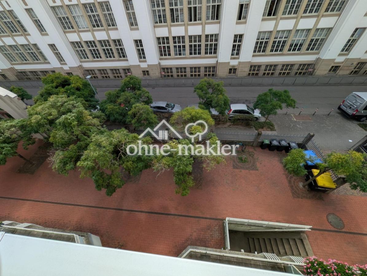 Blick aus dem Wintergarten