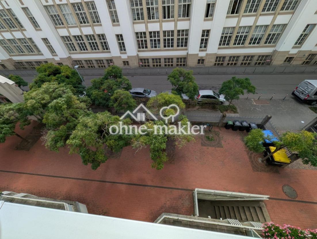 Blick aus dem Wintergarten