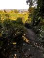 Steintreppe Weinberge