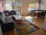 Wohnzimmer (Ansicht 1)