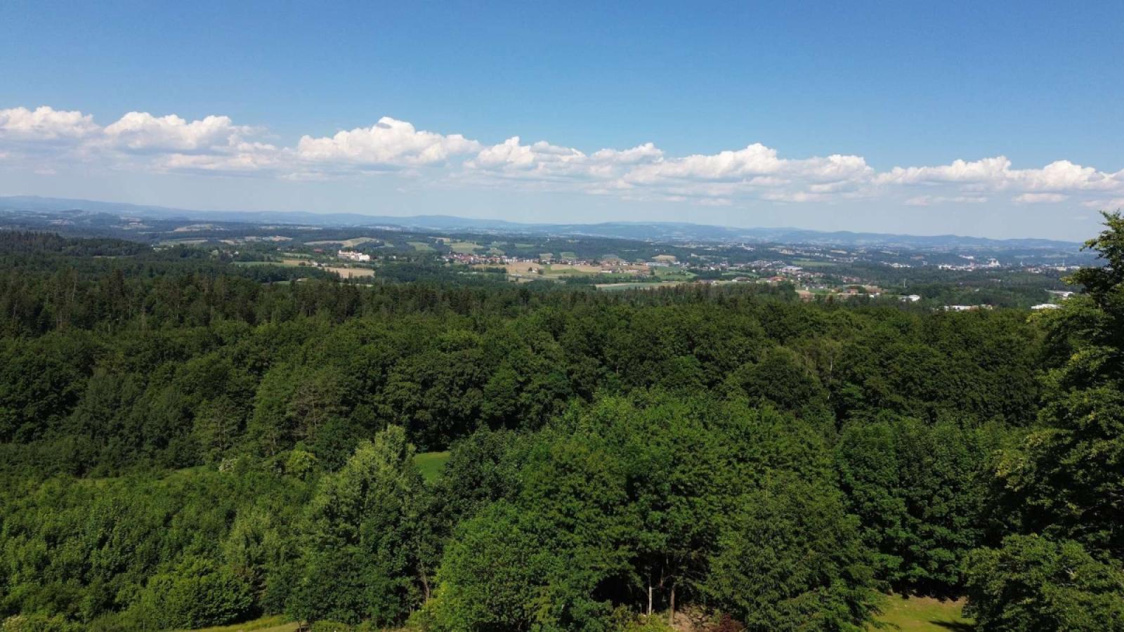 Luftbild Panorama