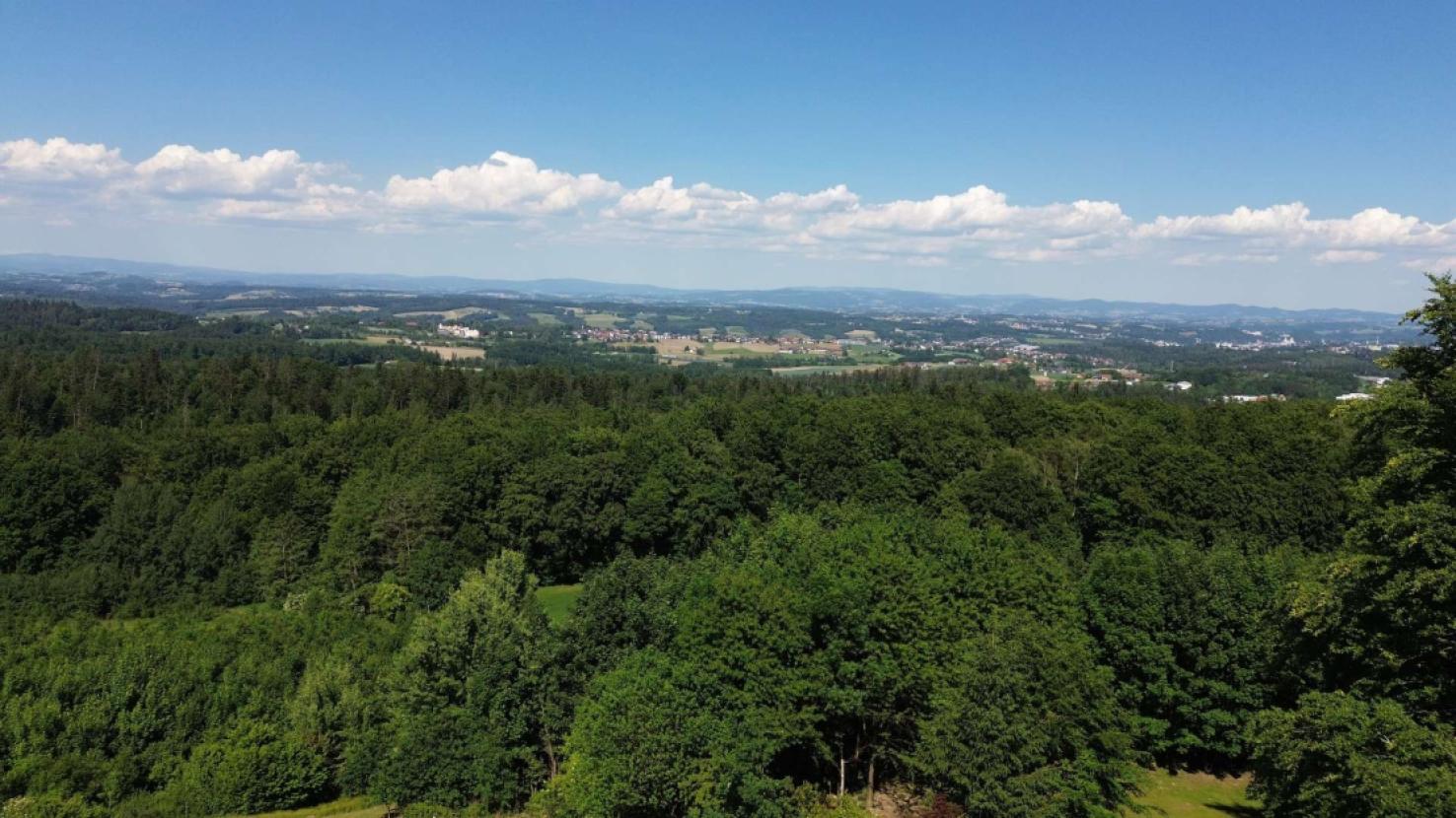 Luftbild Panorama