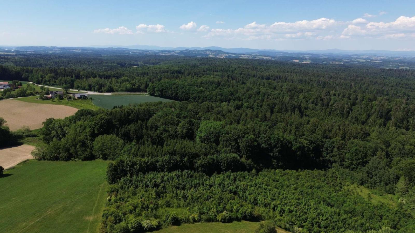 Luftbild Panorama