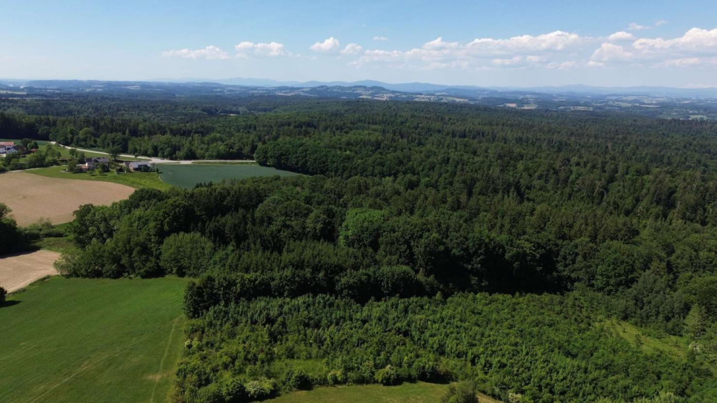 Luftbild Panorama