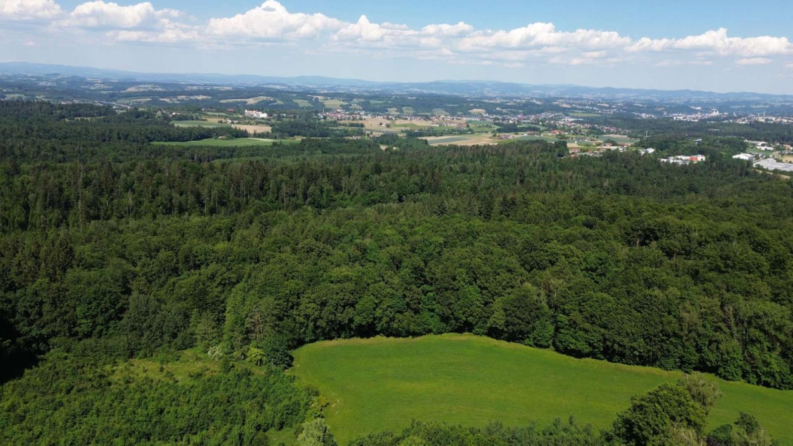 Luftbild Panorama