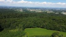 Luftbild Panorama
