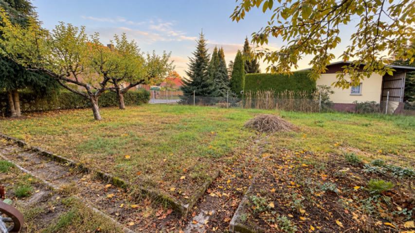 Garten mit Obstbäumen 
