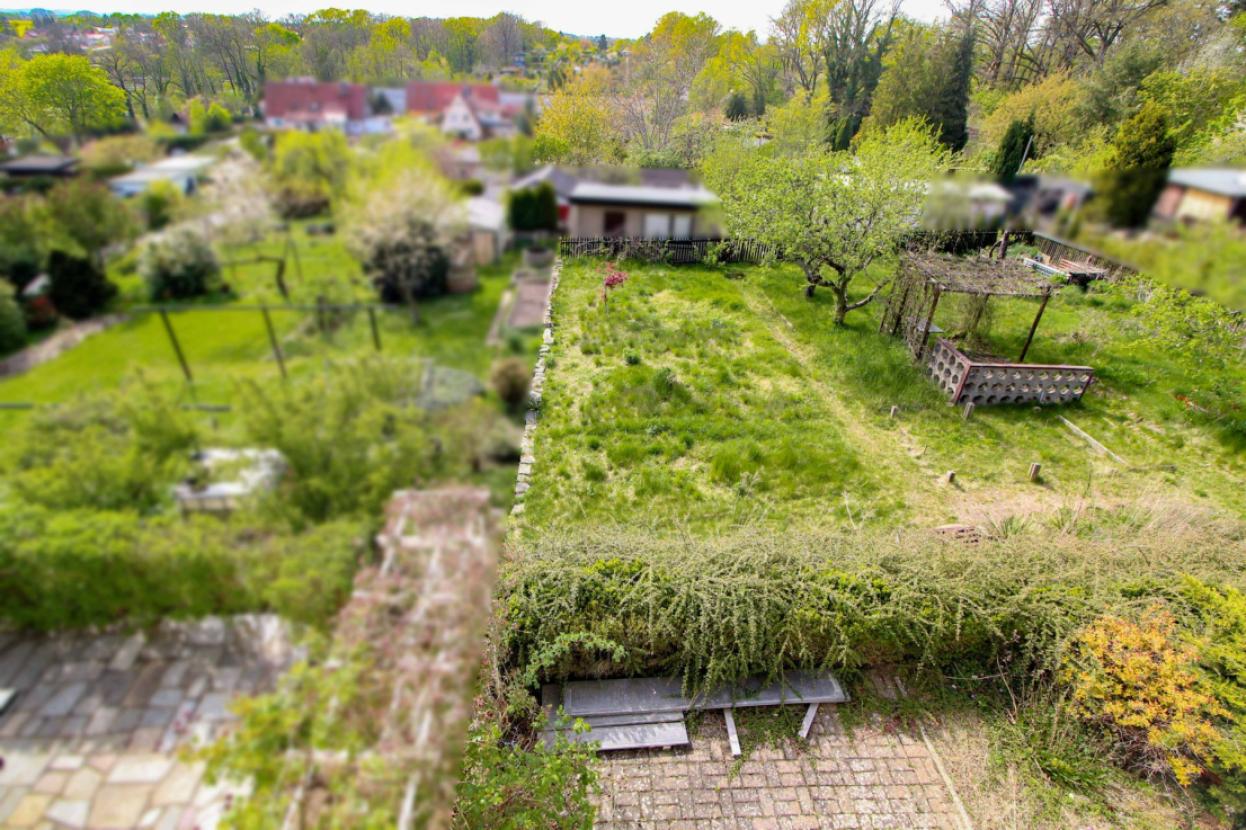 Blick in den Garten