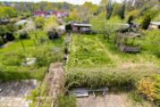 Blick in den Garten