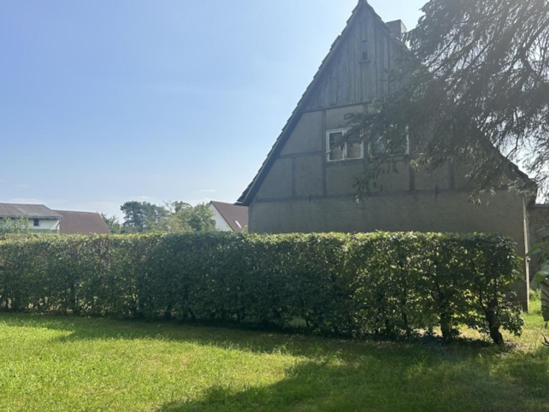 Gibelansicht Haus vom Garten aus gesehen