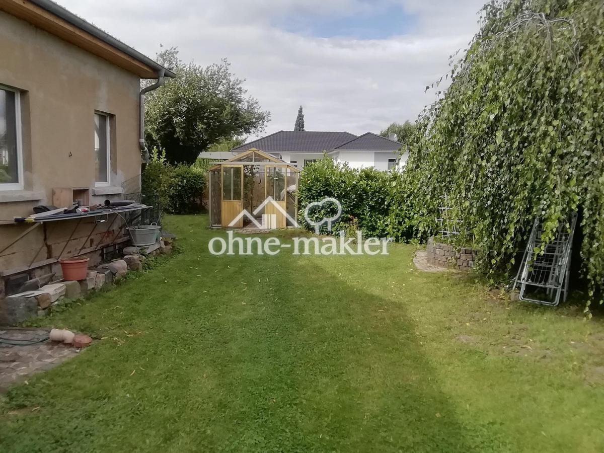 Blick in den Garten