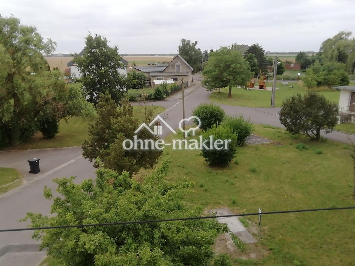 Blick aus dem DG