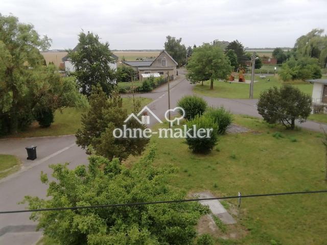 Blick aus dem DG
