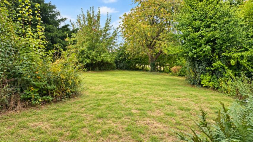 Daberkow Immobilien - Garten