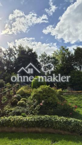 Blick in den Garten von oben