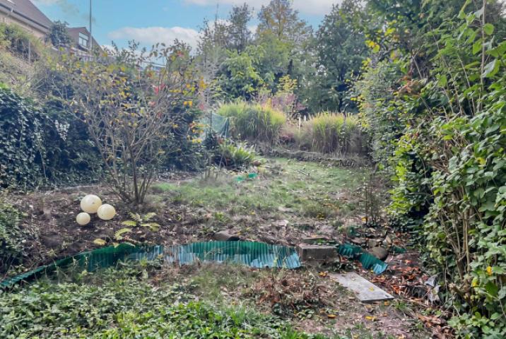 Gartenansicht  EG