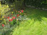 Blick in den Garten