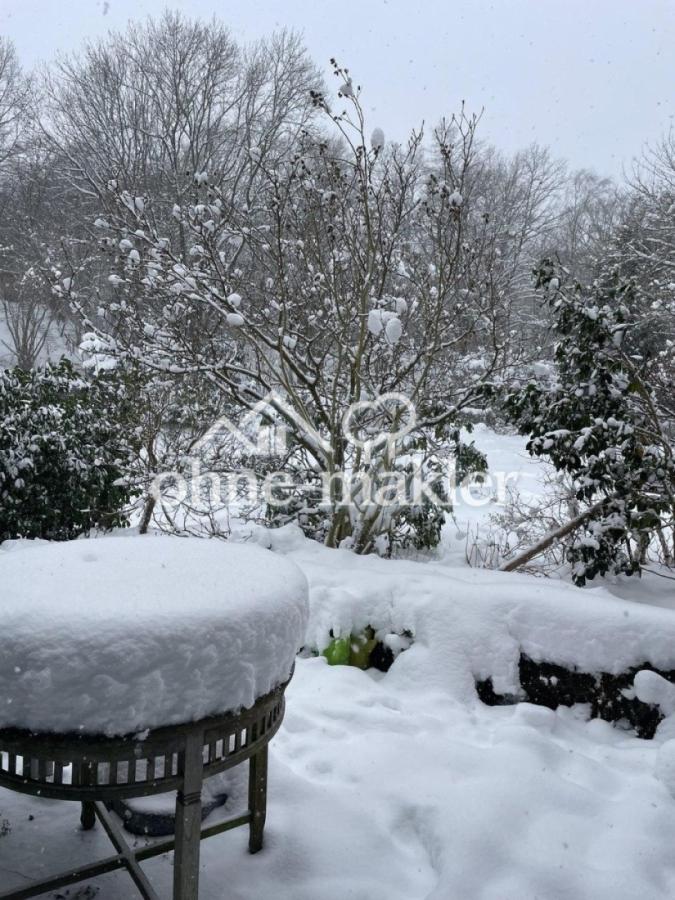 Winterpanorama