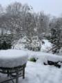 Winterpanorama