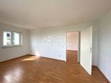 Wohnzimmer / Esszimmer