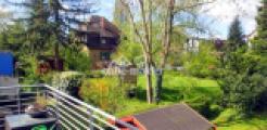 Blick in den Garten