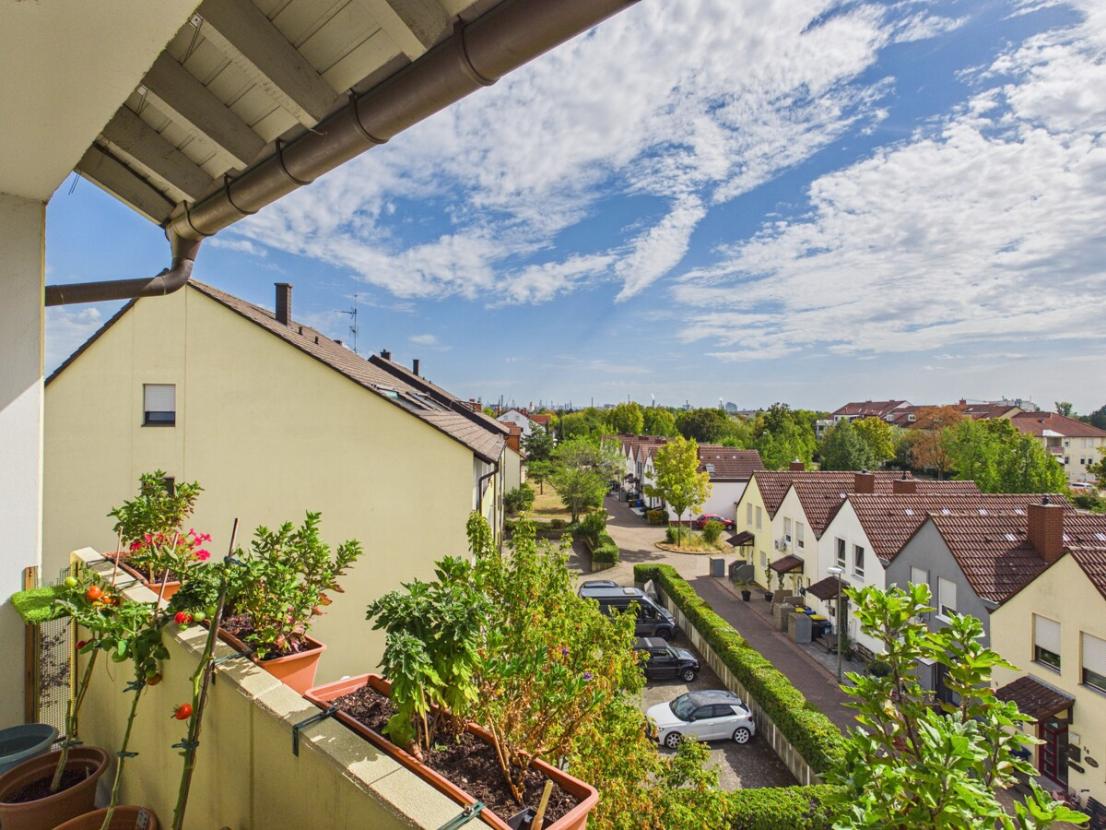 Ausblick auf die BASF