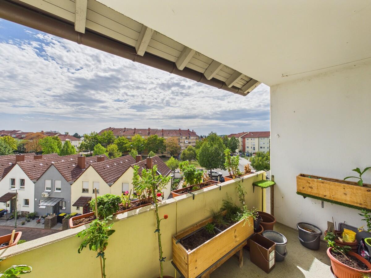 Ausblick in die Pfalz