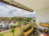 Ausblick in die Pfalz